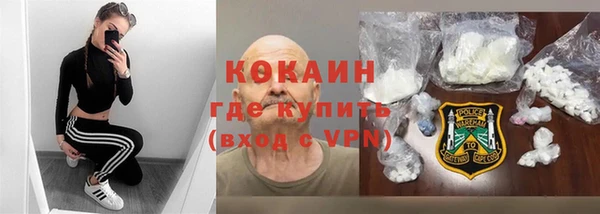 соль ск Алексин