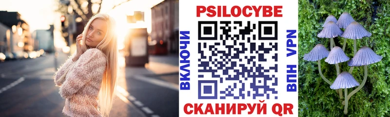 нарко площадка как зайти Наволоки Галлюциногенные грибы мицелий